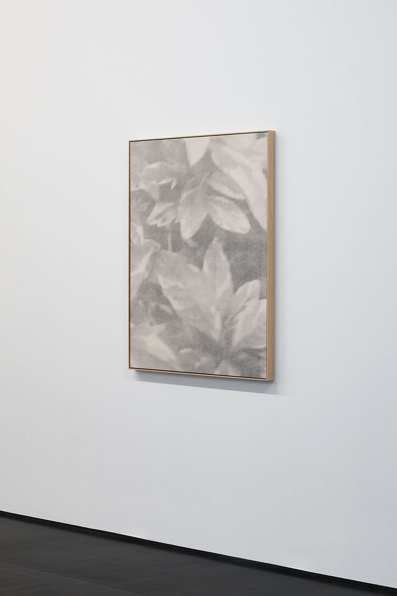 Ziva Drvaric, Blur I, 2021
