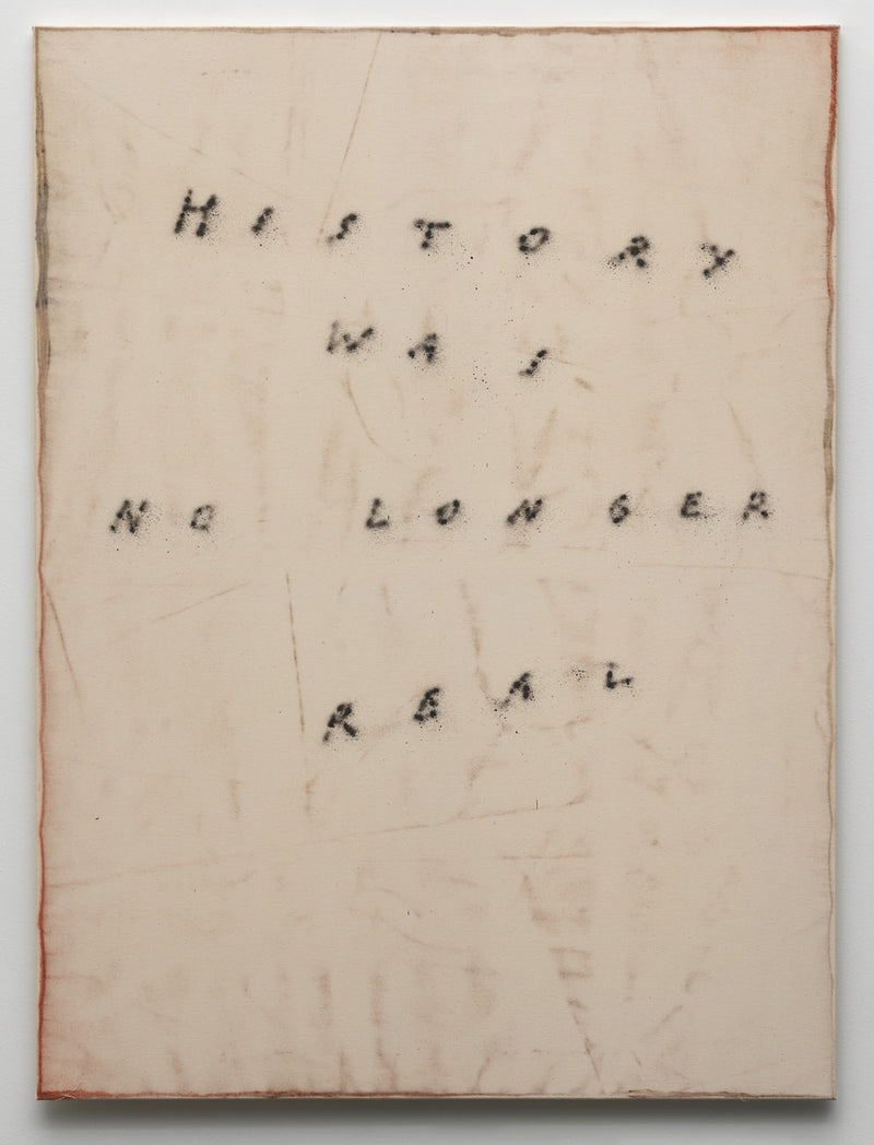 Fabian Herkenhoener, history was no longer real, 2020
