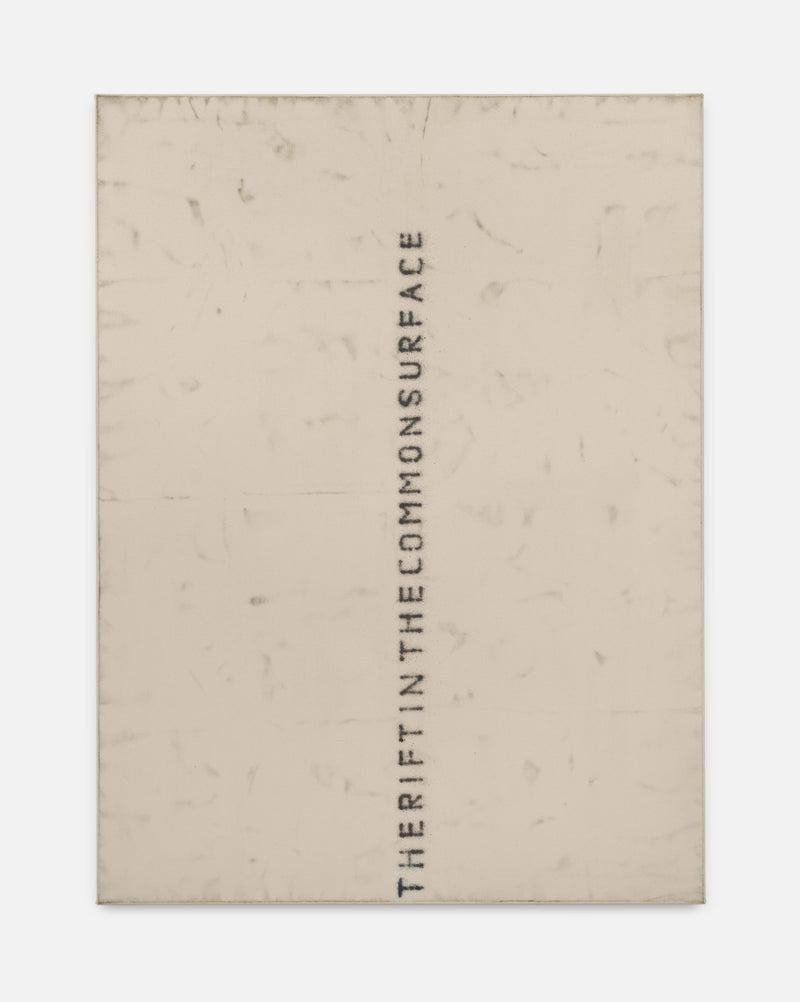 Fabian Herkenhoener, The rift in the common surface, 2019