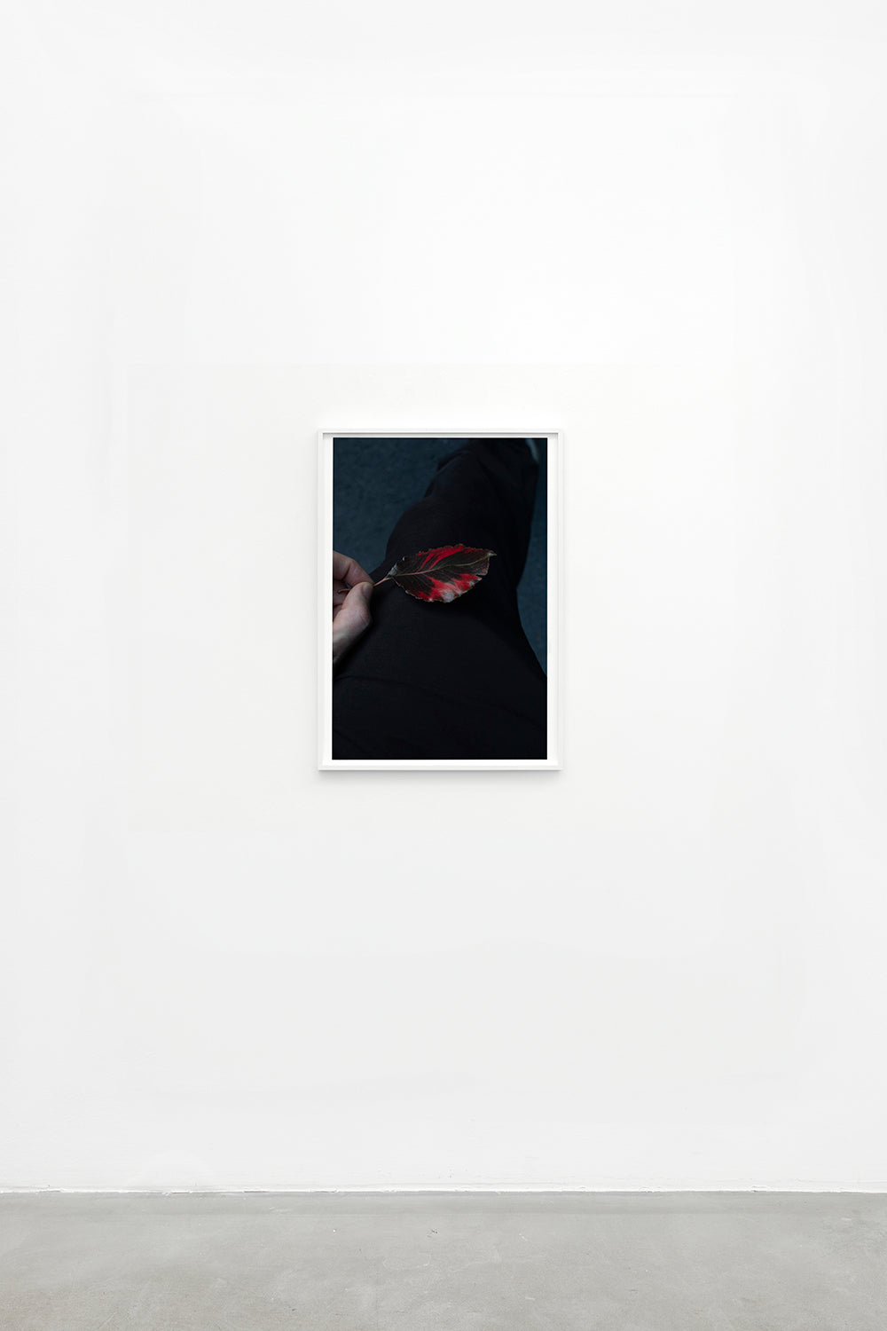 Paul Hutchinson, coalescence, 2023