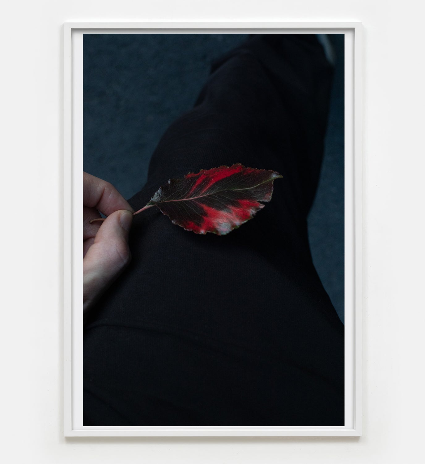 Paul Hutchinson, coalescence, 2023