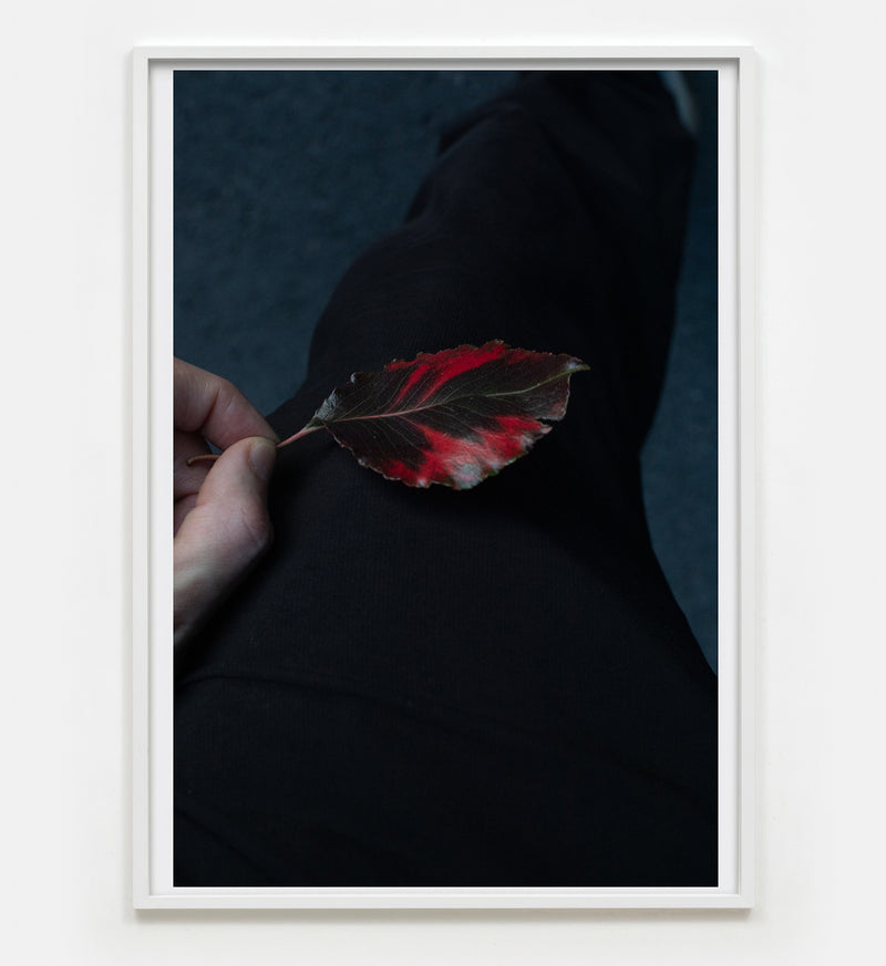 Paul Hutchinson, coalescence, 2023