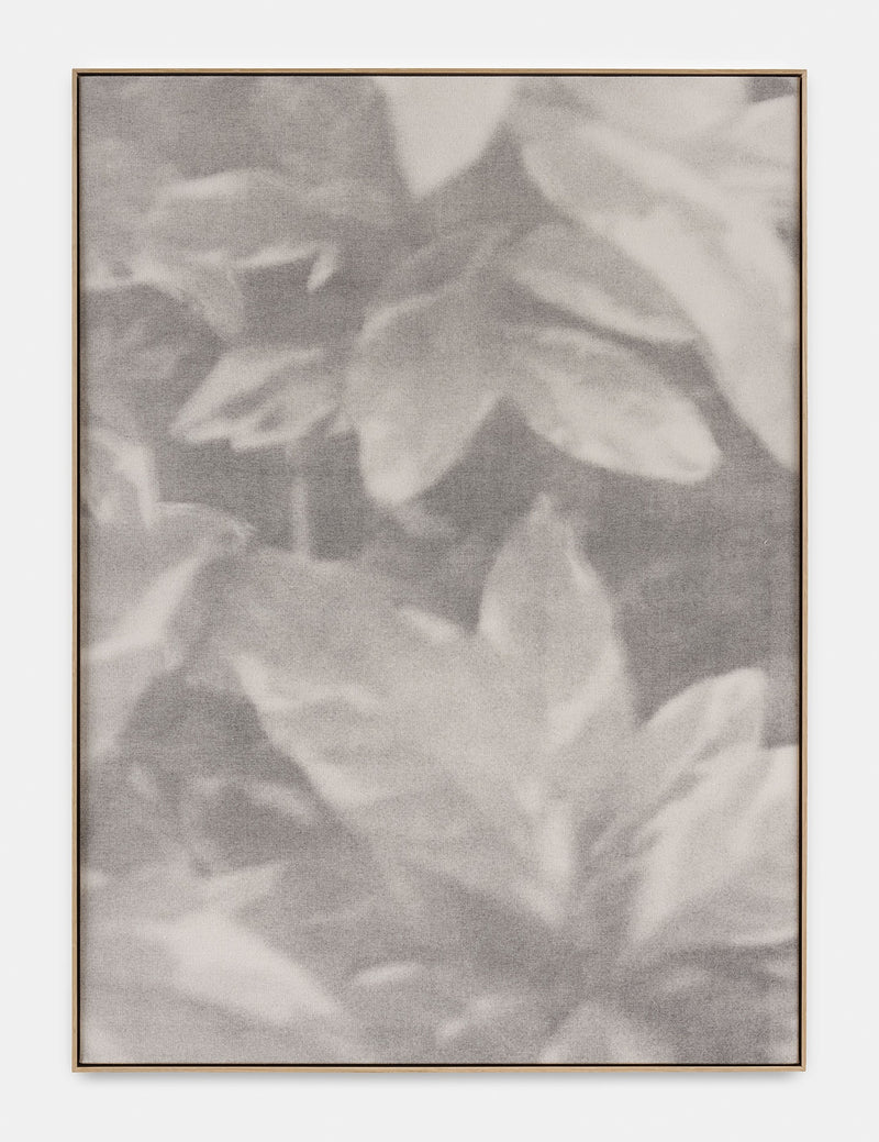 Ziva Drvaric, Blur I, 2021